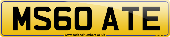 MS60 ATE