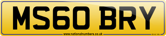 MS60 BRY