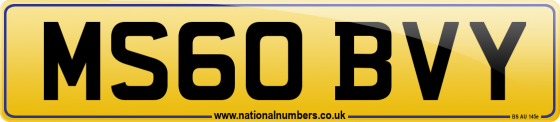 MS60 BVY