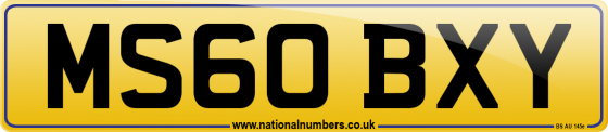 MS60 BXY