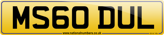 MS60 DUL
