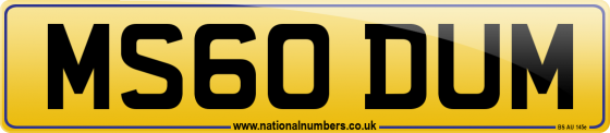 MS60 DUM