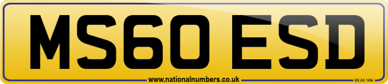 MS60 ESD