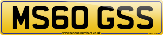 MS60 GSS