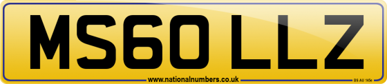 MS60 LLZ
