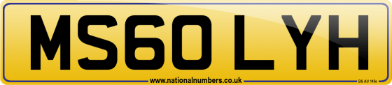 MS60 LYH