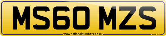 MS60 MZS