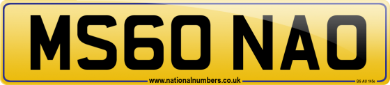 MS60 NAO