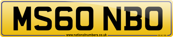 MS60 NBO
