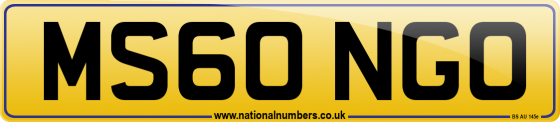MS60 NGO