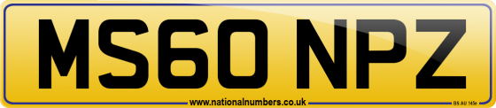 MS60 NPZ