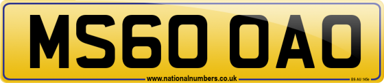 MS60 OAO