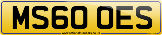 MS60 OES