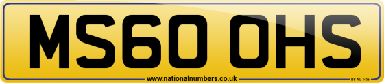 MS60 OHS