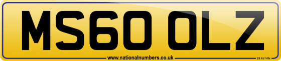 MS60 OLZ