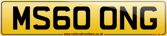 MS60 ONG