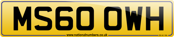 MS60 OWH