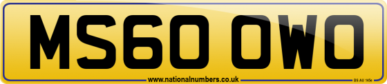 MS60 OWO