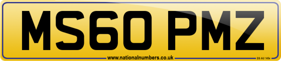 MS60 PMZ