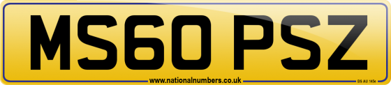 MS60 PSZ