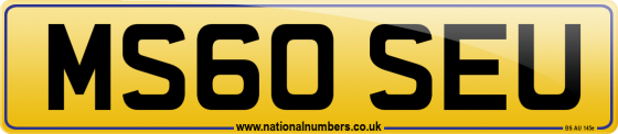 MS60 SEU