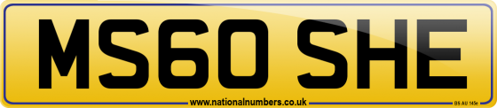 MS60 SHE