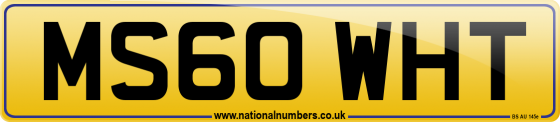 MS60 WHT