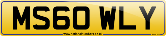 MS60 WLY