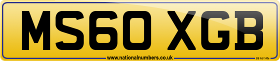 MS60 XGB