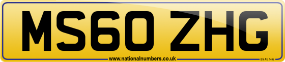 MS60 ZHG