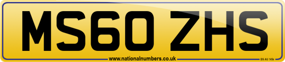 MS60 ZHS