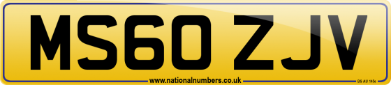 MS60 ZJV