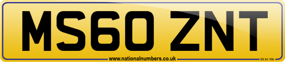 MS60 ZNT
