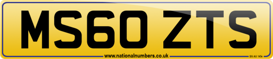 MS60 ZTS