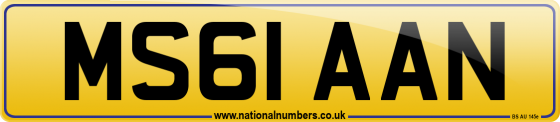 MS61 AAN