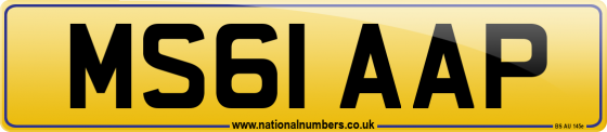 MS61 AAP
