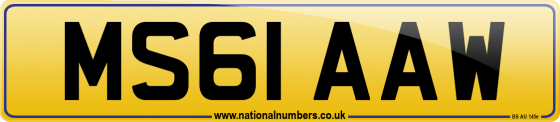 MS61 AAW