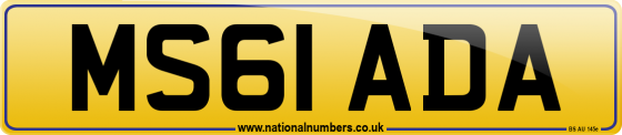 MS61 ADA