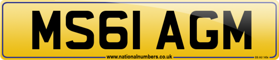 MS61 AGM
