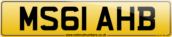 MS61 AHB