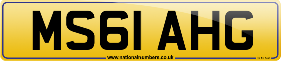 MS61 AHG