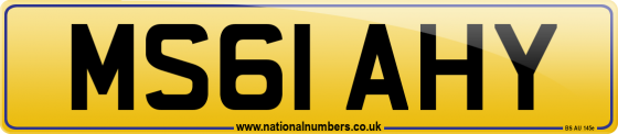 MS61 AHY