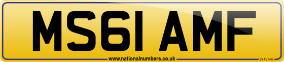 MS61 AMF