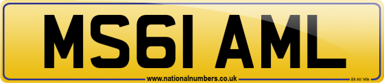 MS61 AML