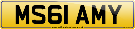 MS61 AMY