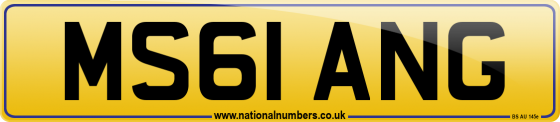 MS61 ANG