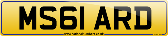 MS61 ARD
