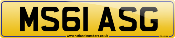 MS61 ASG