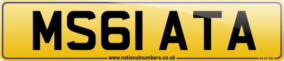 MS61 ATA
