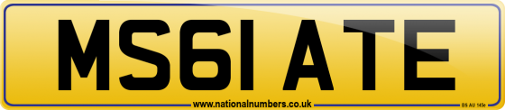 MS61 ATE